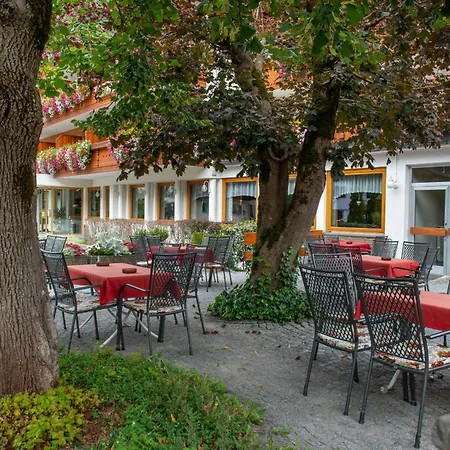 Brunella ヴァンダンス